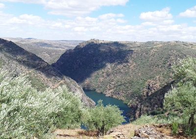 Mirador de Lastrón