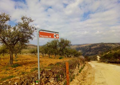 Rutas en todoterreno